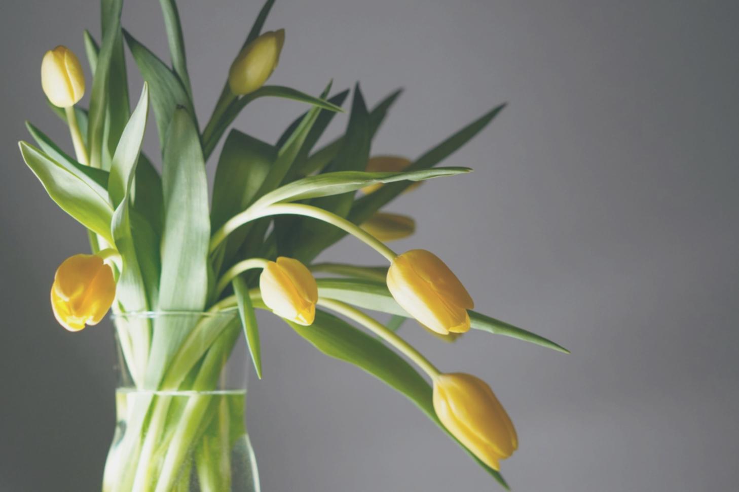 Çiçek düzenleme süreci detayları